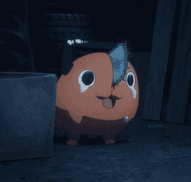 IMG_2756.gif