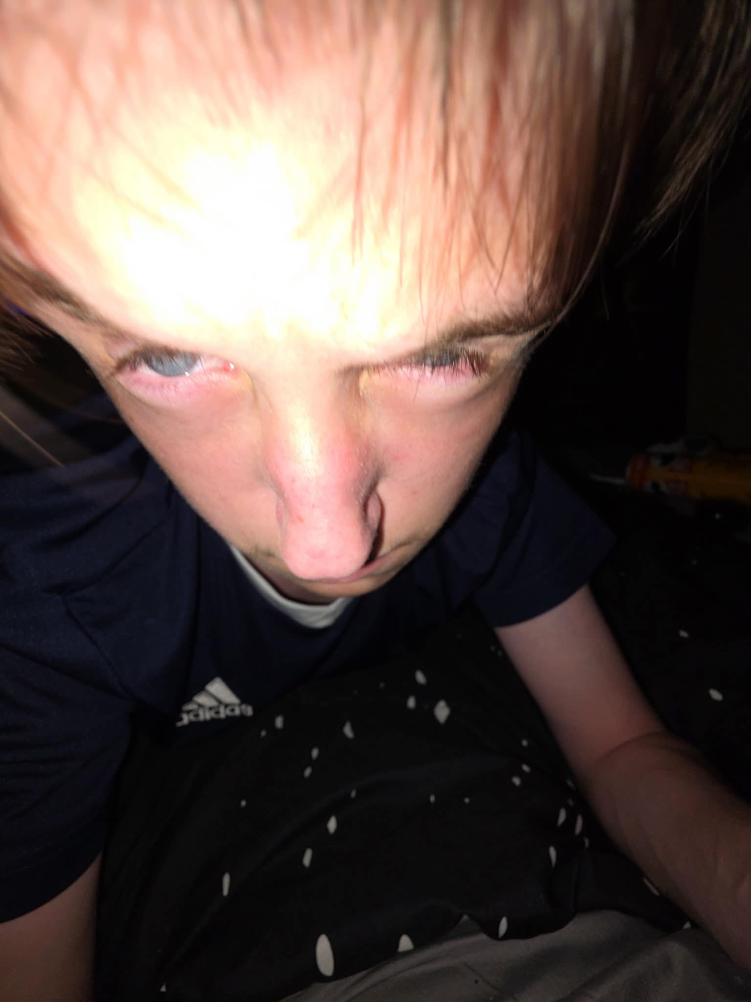2338959665907638594.jpg